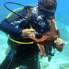 Picture taken during the dive
