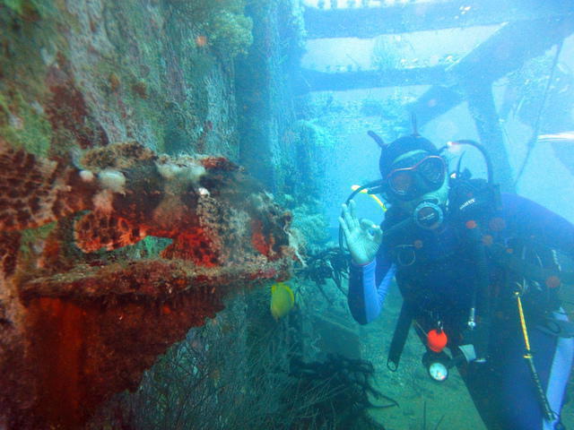 Lapu Lapu Diving Center - Dive Center