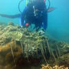 Picture taken during the dive