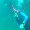Picture taken during the dive