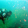 Picture taken during the dive