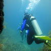 Picture taken during the dive