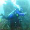 Picture taken during the dive