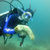 Picture taken during the dive