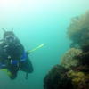 Picture taken during the dive