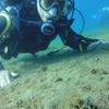 Picture taken during the dive
