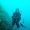 Picture taken during the dive