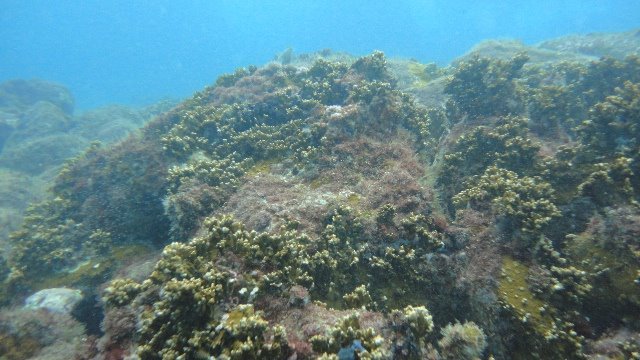 Over Sea Dive Center - Dive Center in 巴西