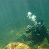 Picture taken during the dive