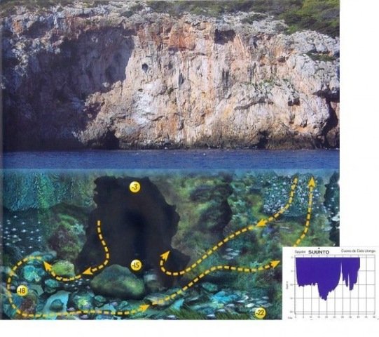 Punta Dive - Dive Center in Spain