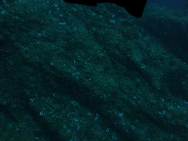 Poseidon Nemrod Diving - Dive Center in Spain