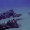 Picture taken during the dive