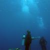 Picture taken during the dive