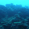 Picture taken during the dive