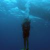 Picture taken during the dive
