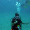 Picture taken during the dive