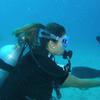 Picture taken during the dive
