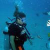 Picture taken during the dive