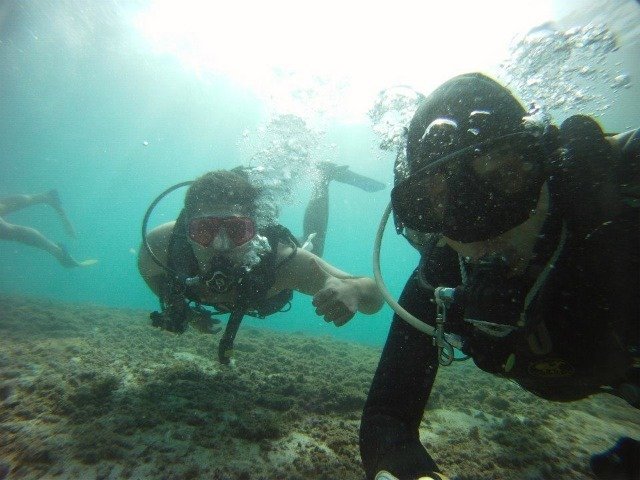 Vallarta Surf N'dive - Dive Center in Mexico