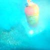 Picture taken during the dive
