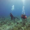 Picture taken during the dive