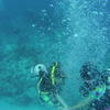 Picture taken during the dive