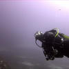 Picture taken during the dive