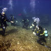 Picture taken during the dive