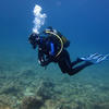 Picture taken during the dive