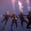 Picture taken during the dive