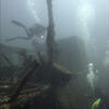 Picture taken during the dive