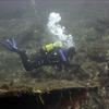 Picture taken during the dive