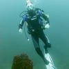 Picture taken during the dive