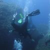 Picture taken during the dive