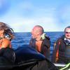 Picture taken during the dive