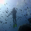 Picture taken during the dive