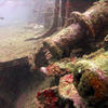 Picture taken during the dive