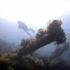 Picture taken during the dive