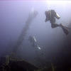 Picture taken during the dive