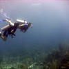 Picture taken during the dive