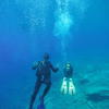 Picture taken during the dive