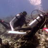 Picture taken during the dive