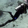 Picture taken during the dive