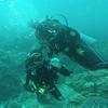 Picture taken during the dive