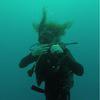 Picture taken during the dive
