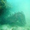 Picture taken during the dive