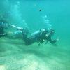 Picture taken during the dive