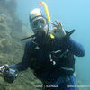 Picture taken during the dive