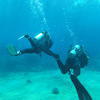 Picture taken during the dive