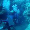 Picture taken during the dive